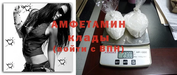 молекула духа Богданович
