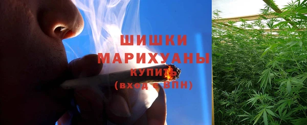 дмт Богородск