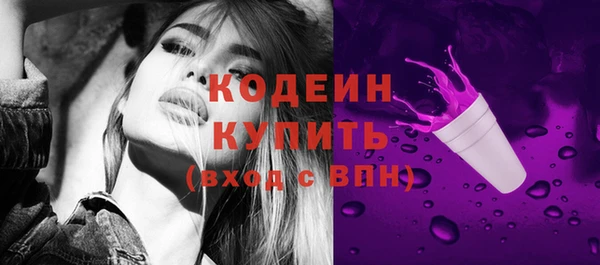 молекула духа Богданович