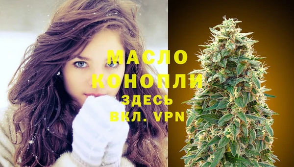 дмт Богородск