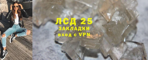 молекула духа Богданович