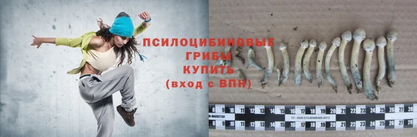 прущие грибы Богородицк