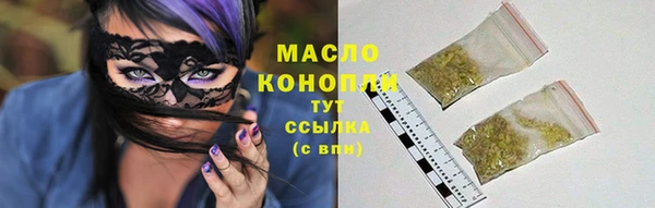 молекула духа Богданович