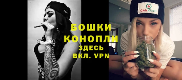 прущие грибы Богородицк