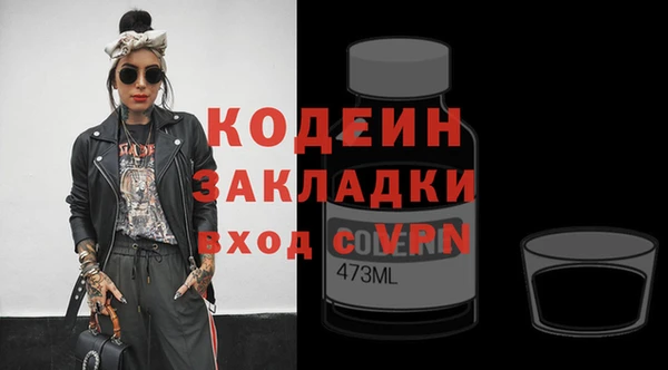 прущий лед Бородино