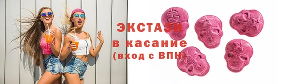 молекула духа Богданович