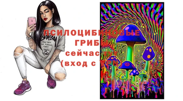 молекула духа Богданович