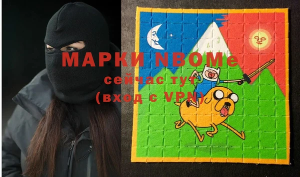 молекула духа Богданович
