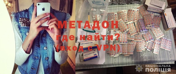 молекула духа Богданович