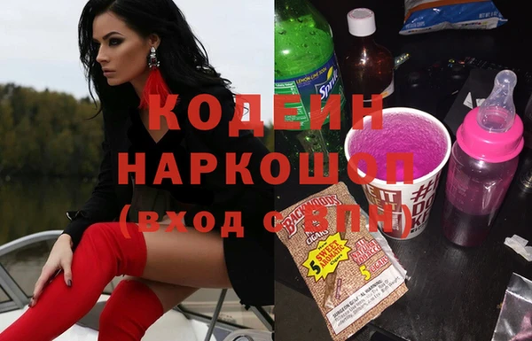 молекула духа Богданович