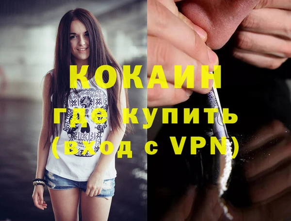 молекула духа Богданович
