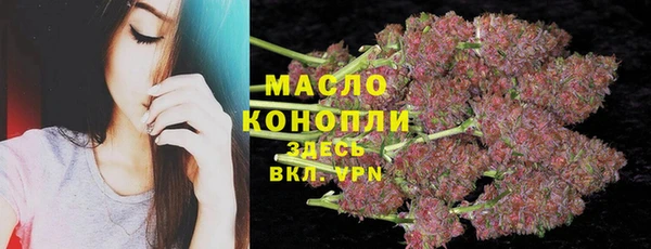 молекула духа Богданович