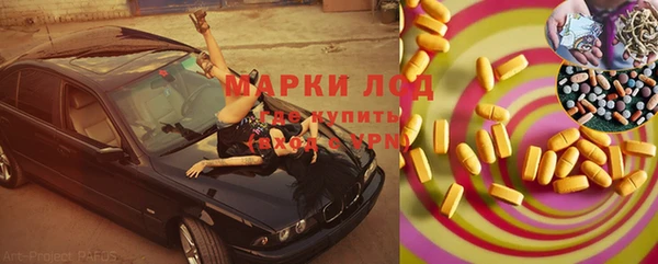 молекула духа Богданович