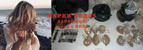 прущие грибы Богородицк