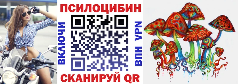 Купить где  Благовещенск  Псилоцибиновые грибы Psilocybine cubensis 